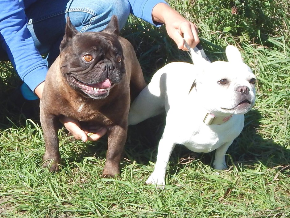 Lizzy und 1